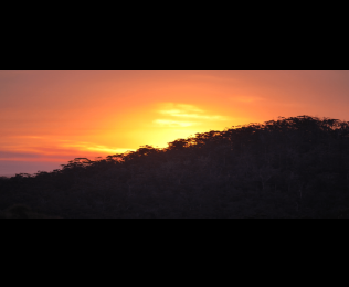 2022 CameraPro Explorer’s Grant Announcement